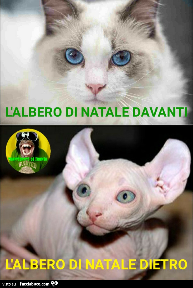 L'albero di natale davanti l'albero di natale dietro