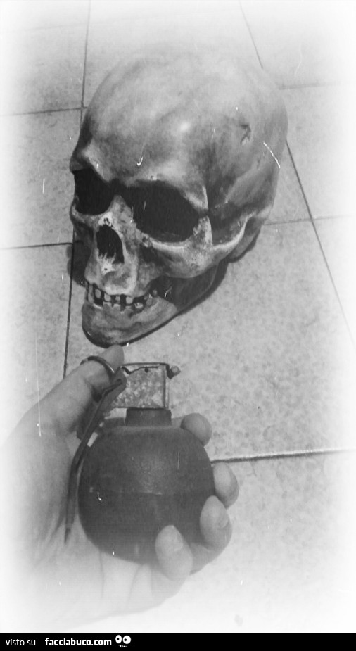 Vaccata