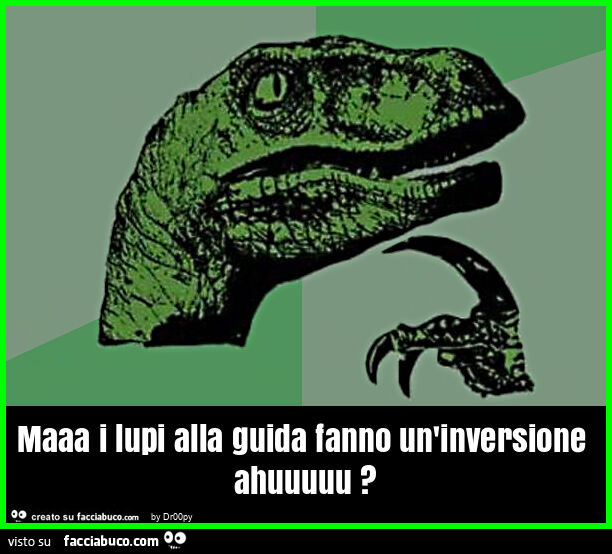 Maaa i lupi alla guida fanno un'inversione ahuuuuu?