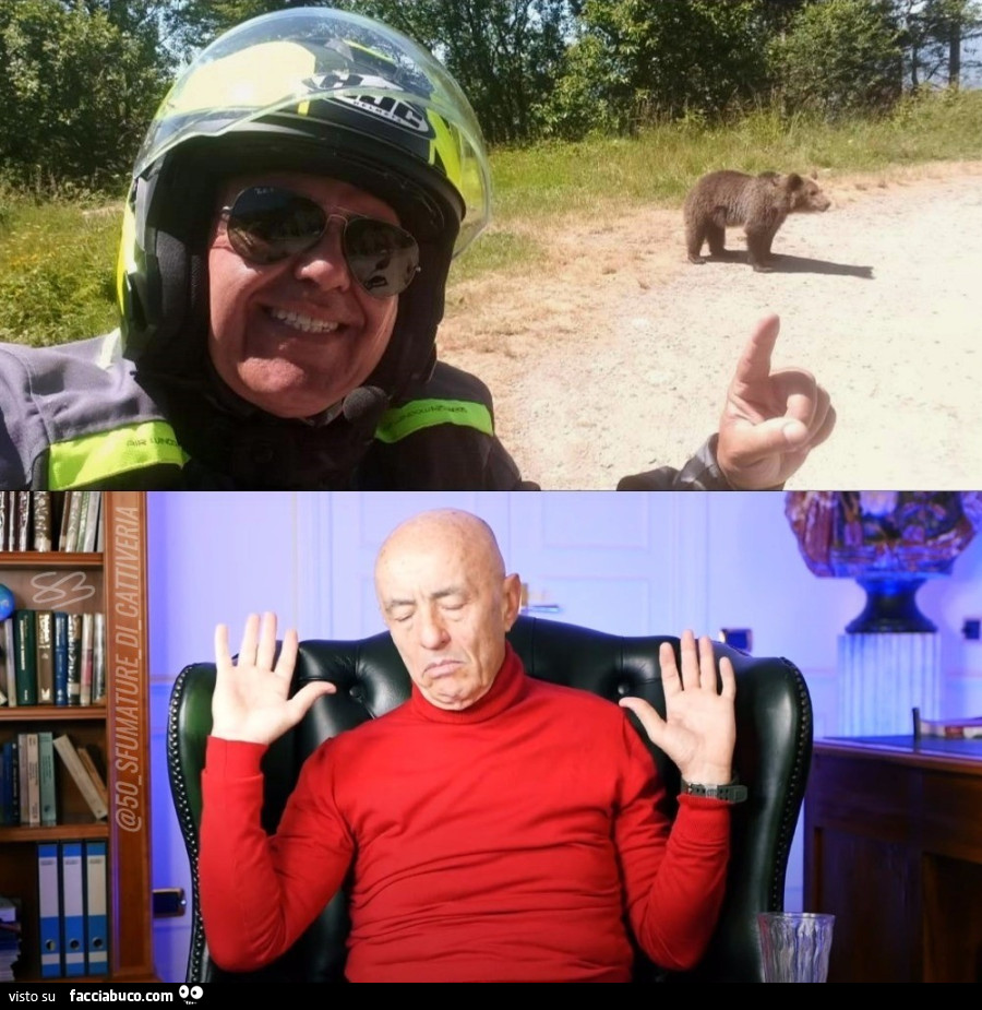 Romania, motociclista fotografa un'orsa con i cuccioli