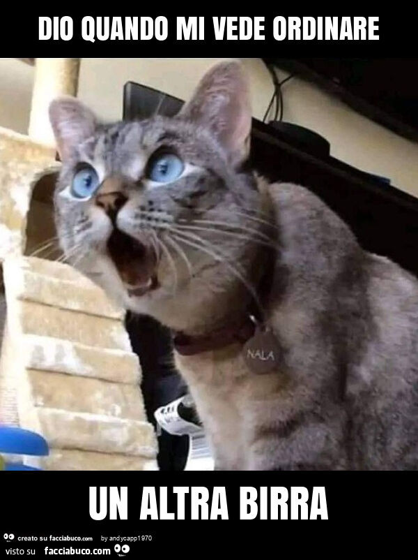 Dio quando mi vede ordinare un altra birra
