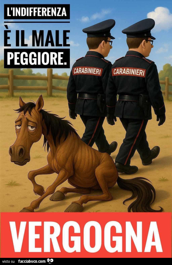 VERGOGNA