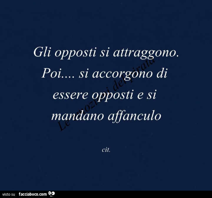 Gli opposti si attraggono. Poi… si accorgono di essere opposti e si mandano affanculo cit