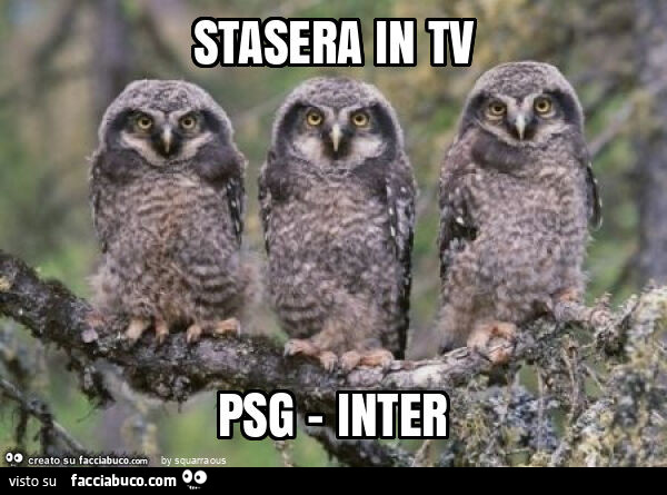 Stasera in tv psg - inter