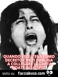 Meme spid