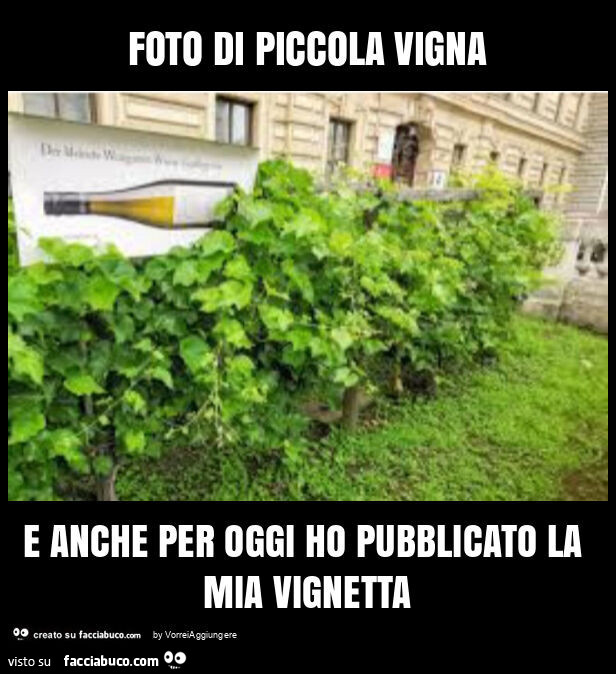 Vaccata