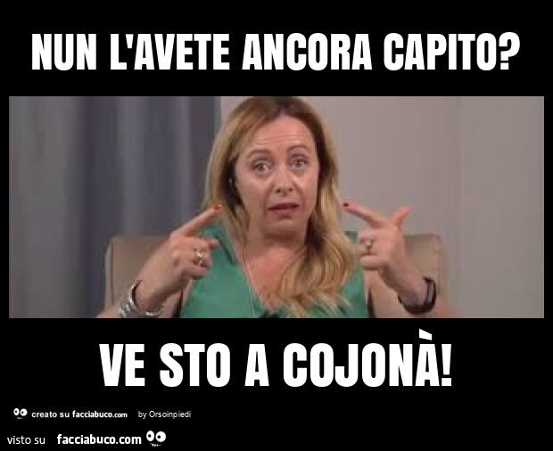 Nun l'avete ancora capito? Ve sto a cojonà