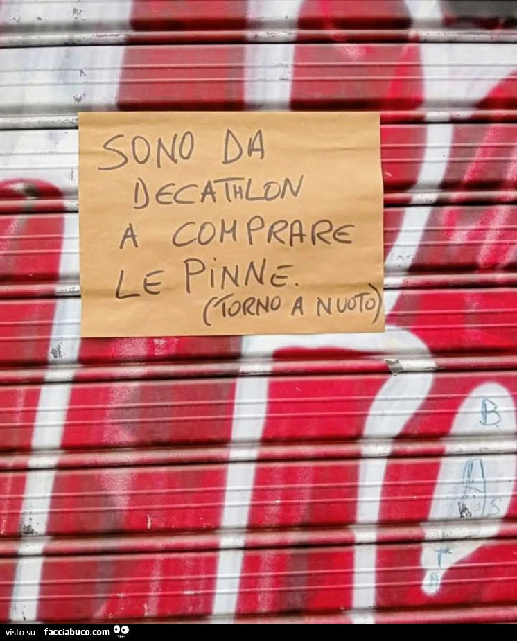 Pinne