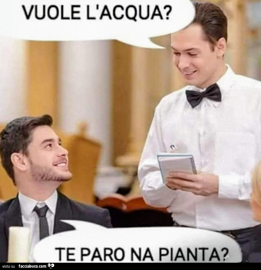 Acqua