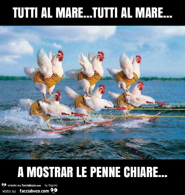 Tutti al mare… tutti al mare… a mostrar le penne chiare