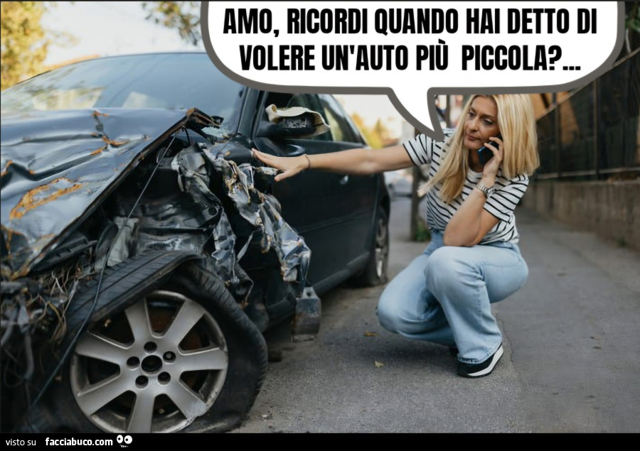 Amo ricordi quando hai detto di volere un'auto più piccola incidente donna al telefono