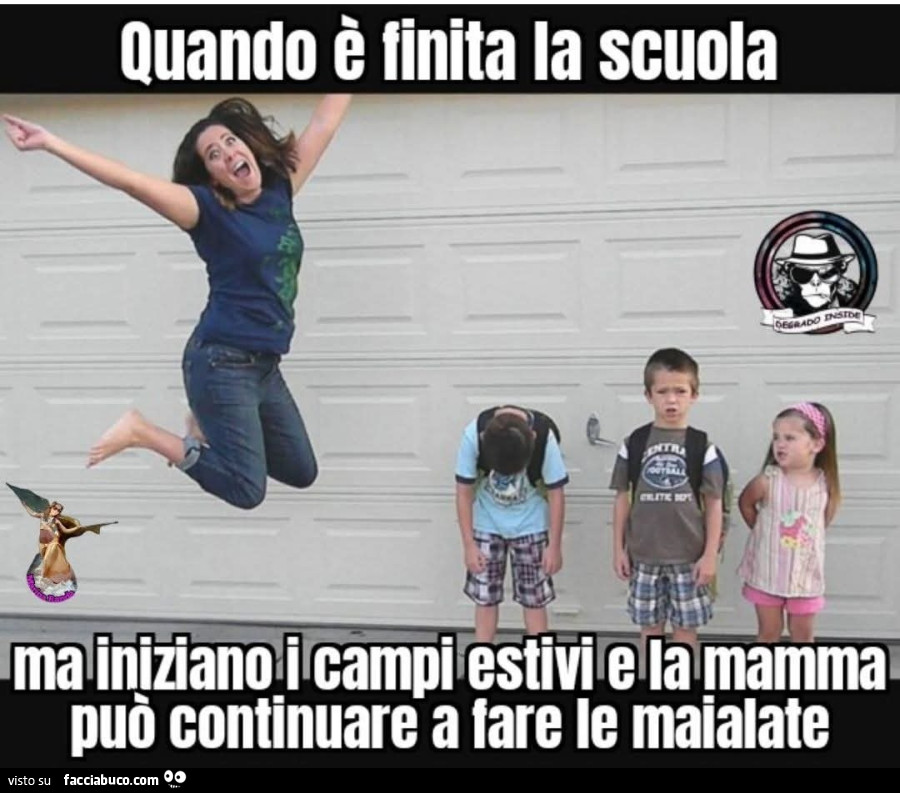 Vaccata