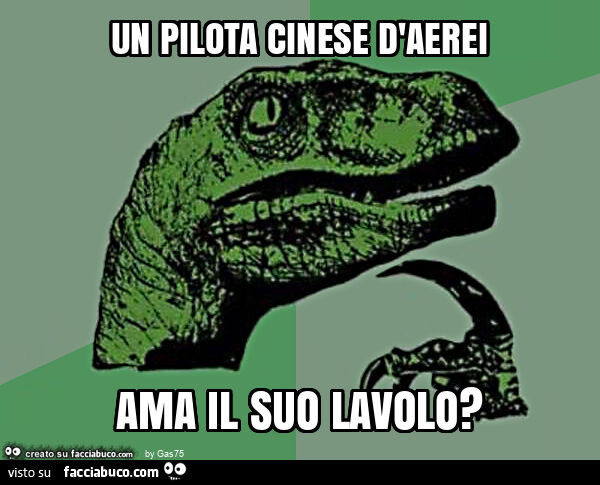 Un pilota cinese d'aerei ama il suo lavolo?