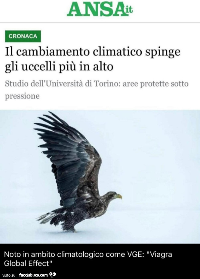 Il cambiamento climatico spinge gli uccelli più in alto