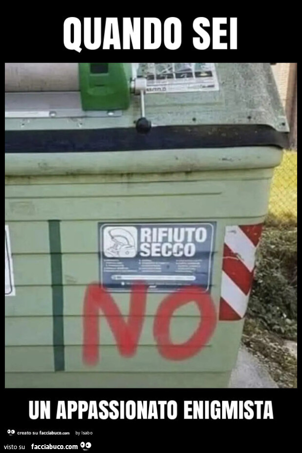 Quando sei un appassionato enigmista rifiuto secco no bidone