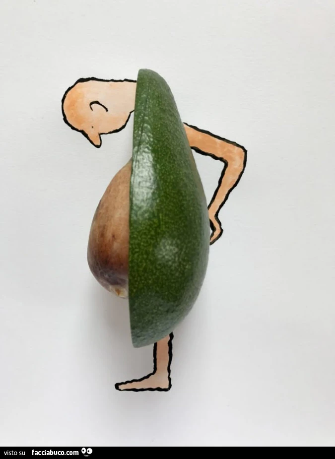 Pancia avocado