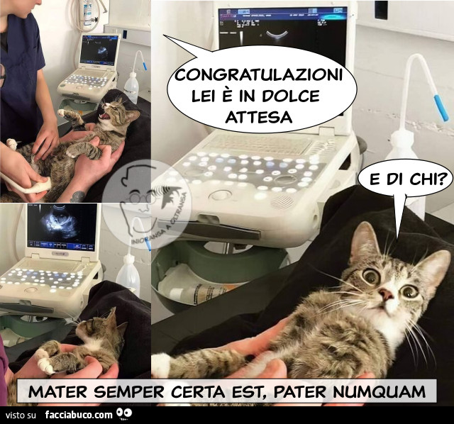 Mater semper certa est, pater numquam