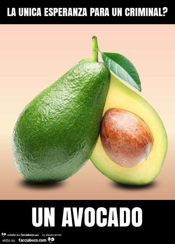 La unica esperanza para un criminal? Un avocado