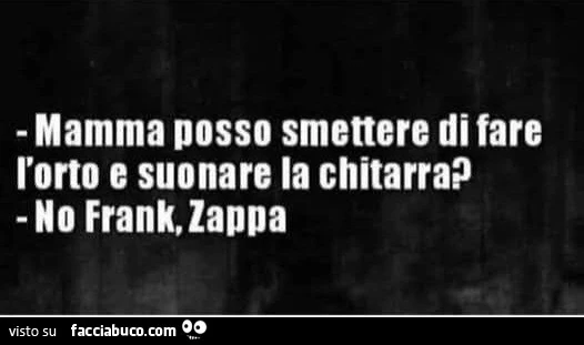 Mamma posso smettere di fare l'orto e suonare la chitarra? No frank, Zappa