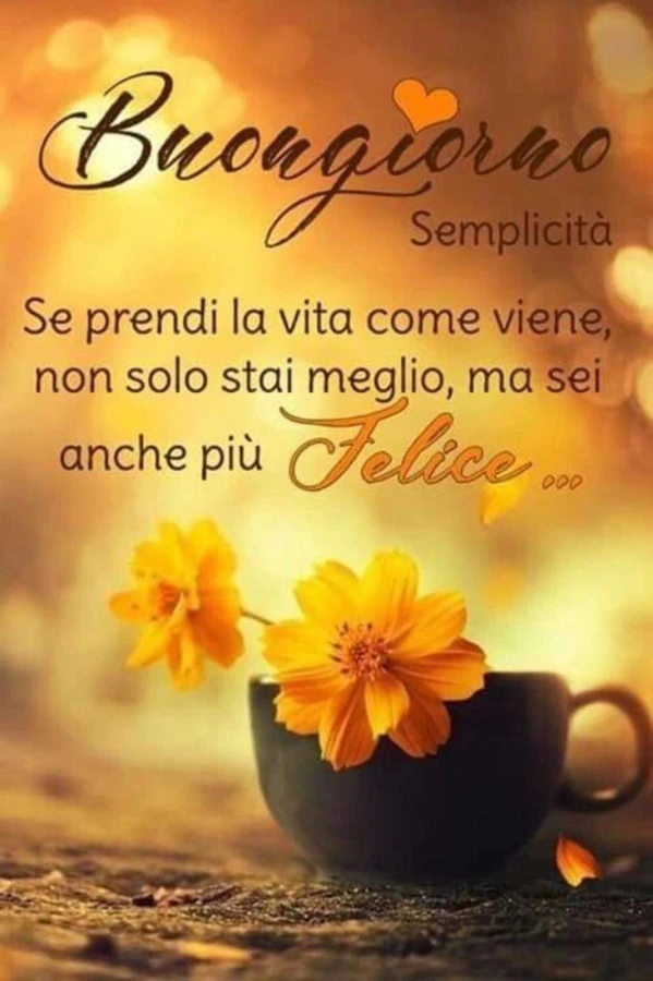 Felicità