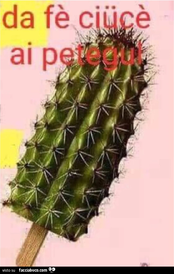 Novità