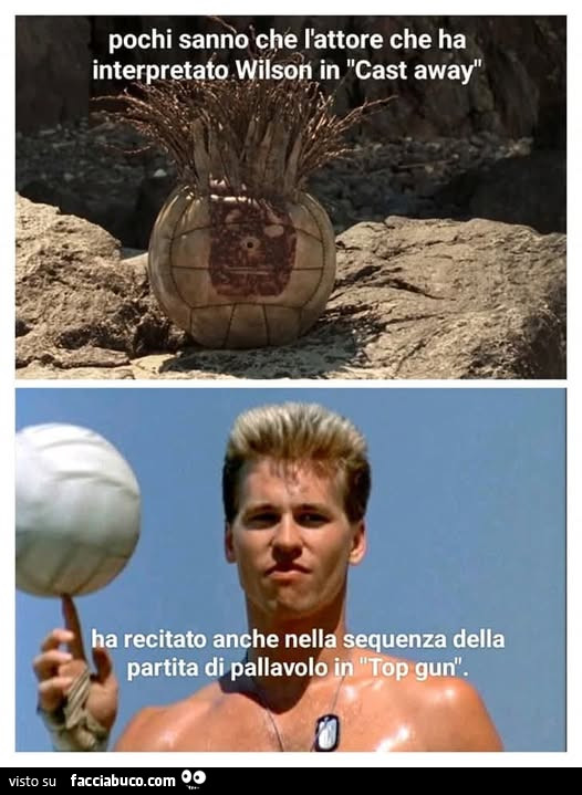 Vaccata