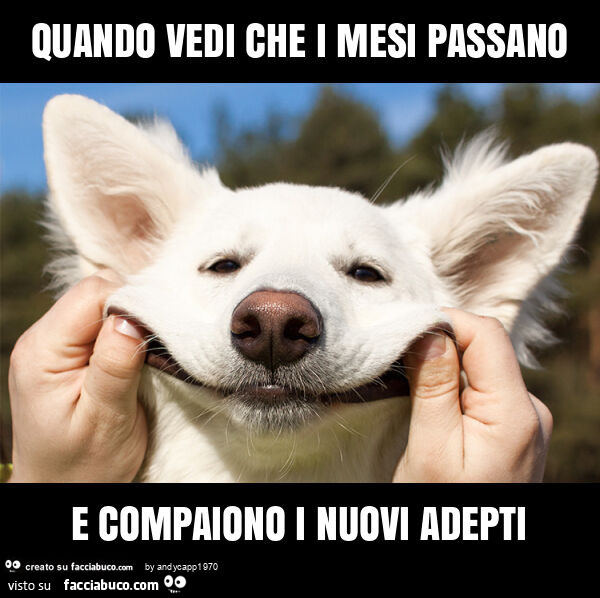 Quando vedi che i mesi passano e compaiono i nuovi adepti