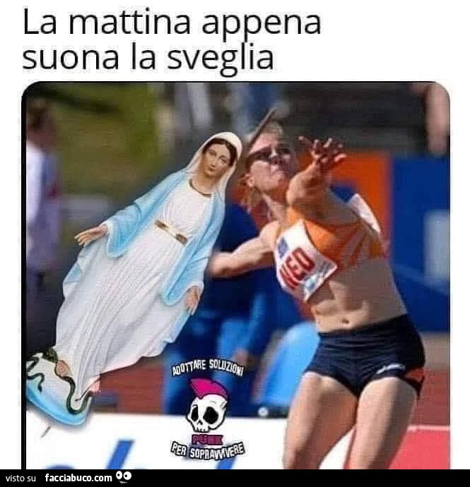 Vaccata