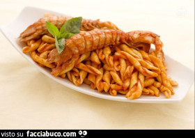 Vaccata