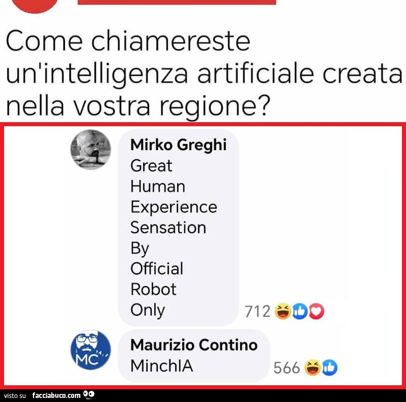 Come chiamereste un'intelligenza artificiale creata nella vostra regione? MinchIA