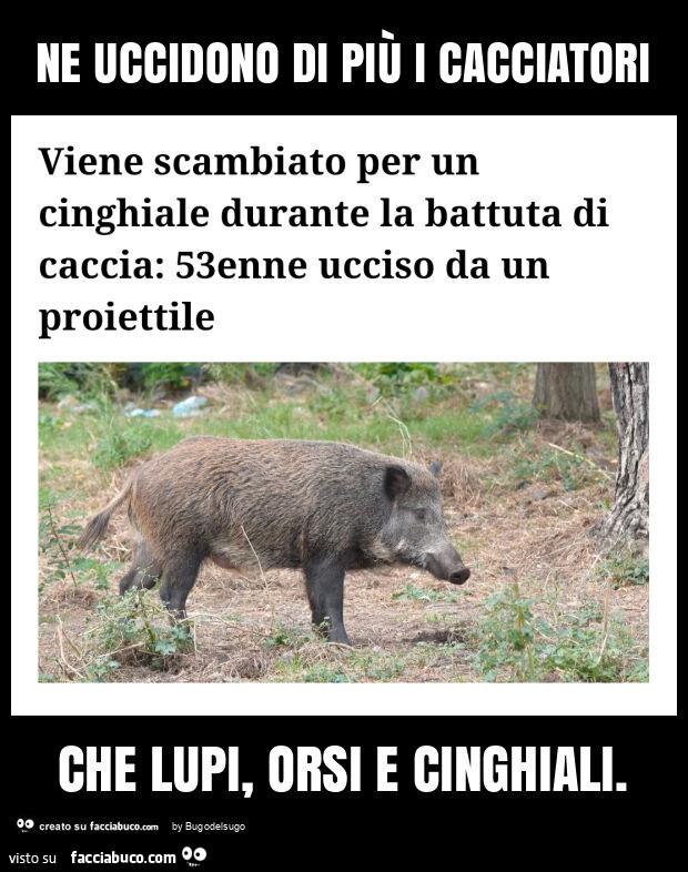 Ne uccidono di più i cacciatori che lupi, orsi e cinghiali