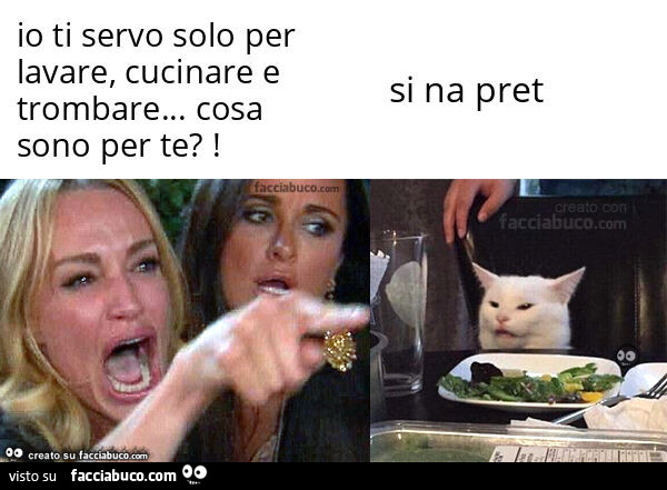 Io ti servo solo per lavare, cucinare e trombare… cosa sono per te?! . Si na pret