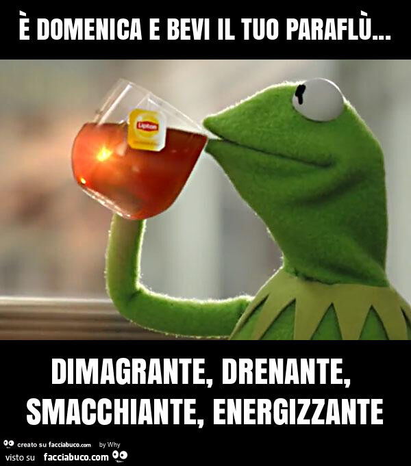 È domenica e bevi il tuo paraflù… dimagrante, drenante, smacchiante, energizzante