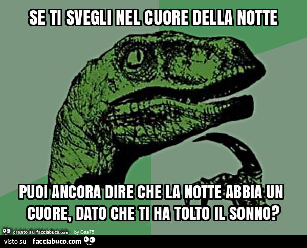 Se ti svegli nel cuore della notte puoi ancora dire che la notte abbia un cuore, dato che ti ha tolto il sonno?