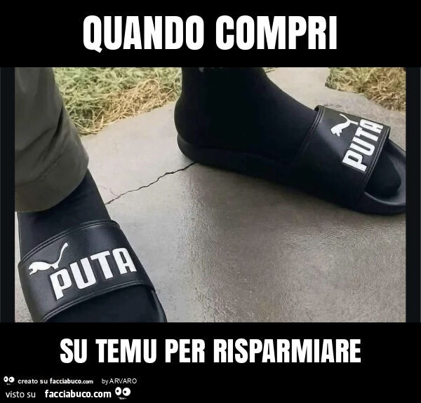 Quando compri su temu per risparmiare