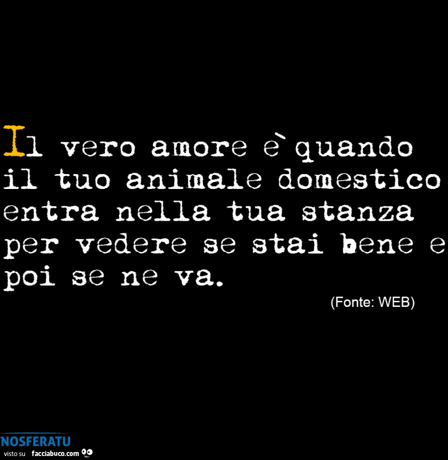 Il vero amore è quando il tuo animale domestico entra nella tua stanza per vedere se stai bene e poi se ne va