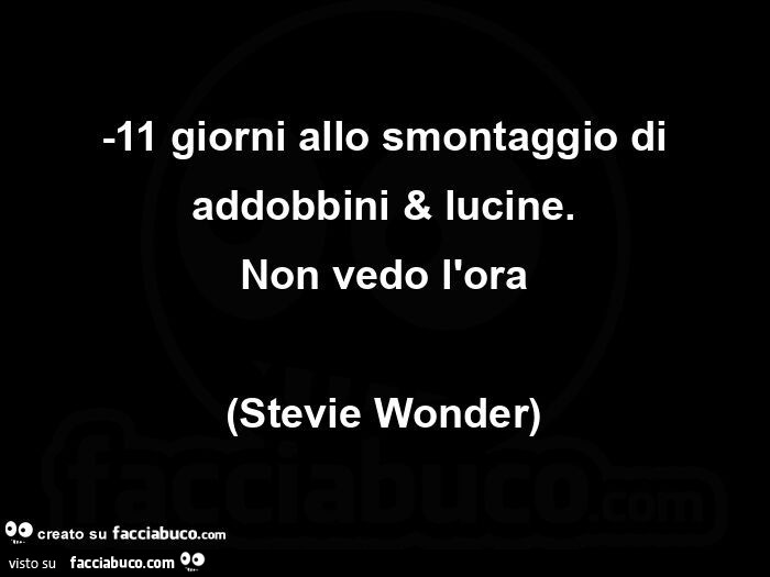 11 giorni allo smontaggio di addobbini & lucine. Non vedo l'ora (stevie wonder)