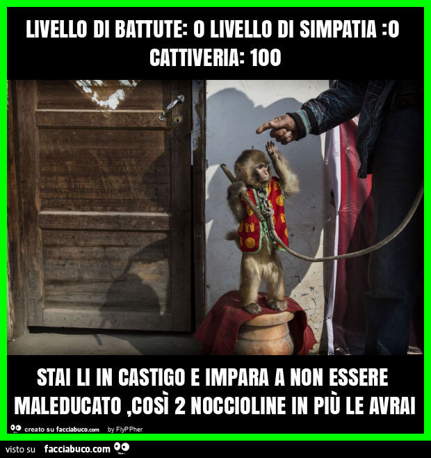 Livello di battute: 0 livello di simpatia: 0 cattiveria: 100 stai li in castigo e impara a non essere maleducato, così 2 noccioline in più le avrai