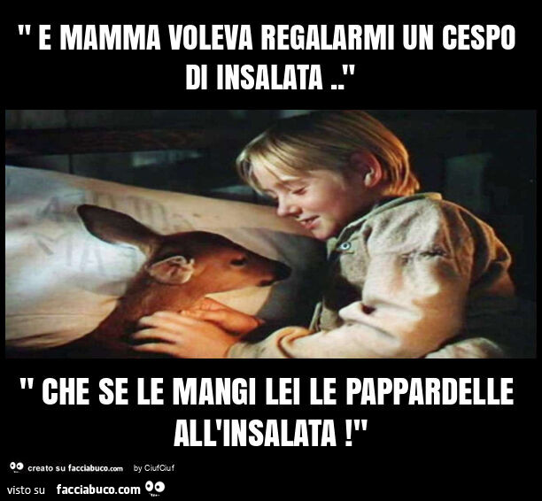 " e mamma voleva regalarmi un cespo di insalata. " " Che se le mangi lei le pappardelle all'insalata! "