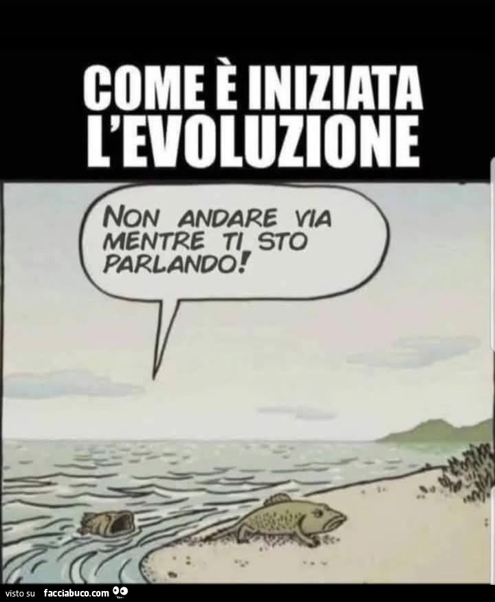 L'evoluzione