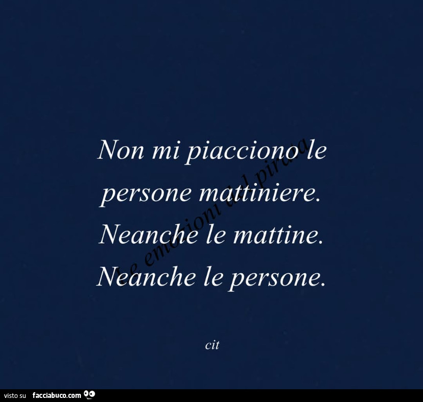 Non mi piacciono le persone mattiniere. Neanche le mattine. Neanche le persone