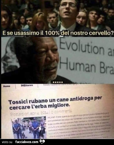 Vaccata