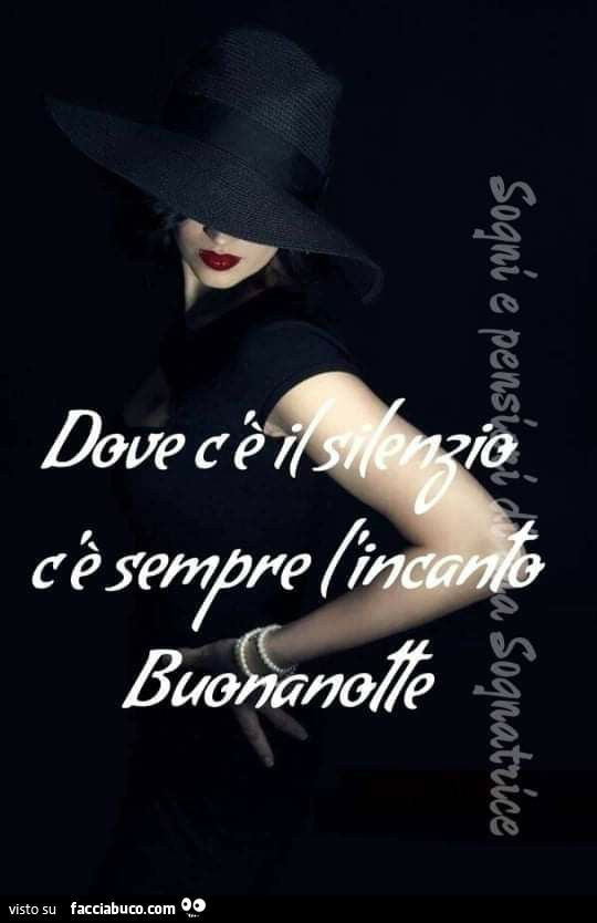 Dove c'รจ il silenzio c'รจ sempre l'incanto. Buonanotte