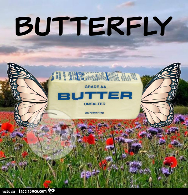 Butterfly