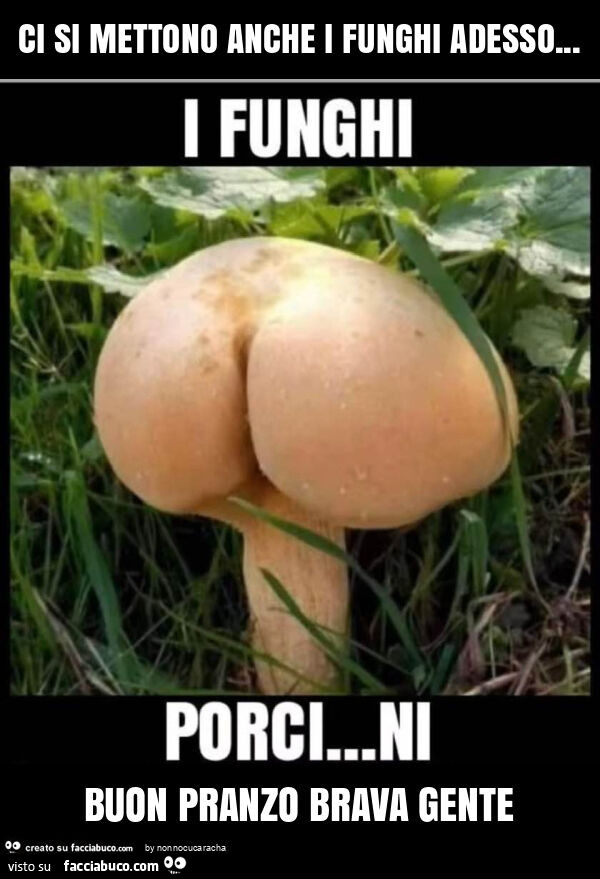 Ci si mettono anche i funghi adesso… buon pranzo brava gente