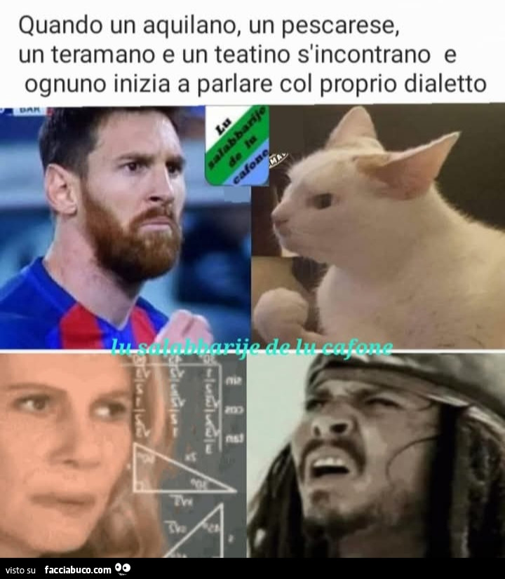 Vaccata