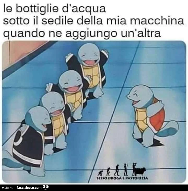 Vaccata