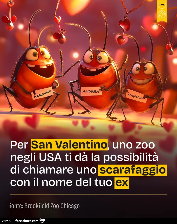 Per San Valentino uno zoom negli usa ti da la possibilità di chiamare uno scarafaggio con il nome del tuo ex