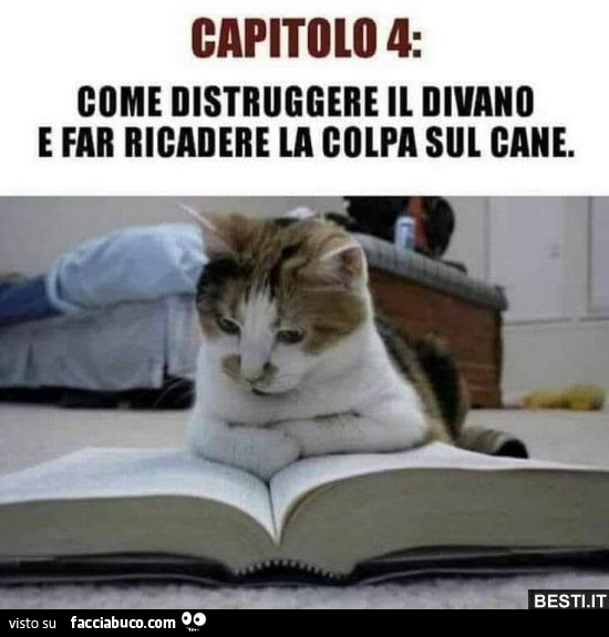 Vaccata